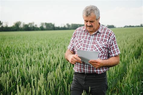 Agr Nomo Agricultor Senior En Un Campo De Trigo Foto Premium