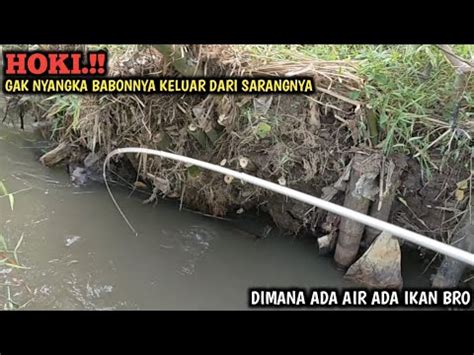 Rejeki Mancing Nilem Di Sungai Kecil Spot Baru Gak Nyangka Strike