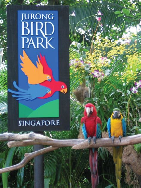 Jurong Bird Park – Jatra Tour