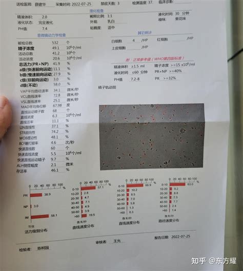 男性精子质量 知乎