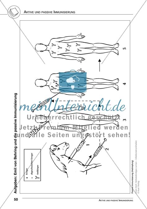 Aktive Und Passive Immunisierung Meinunterricht