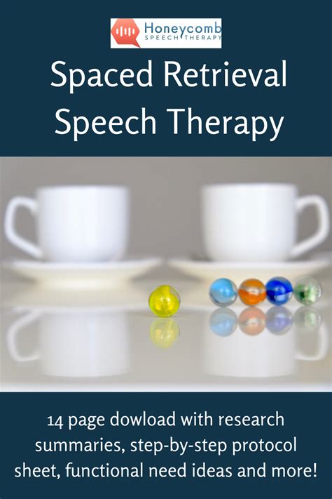 Functional Cognition Book Spaced Retrieval Honeycomb Speech Therapy