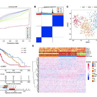 Identification Of Hypoxia Related Subtypes In The Tcga Lgg Cohort