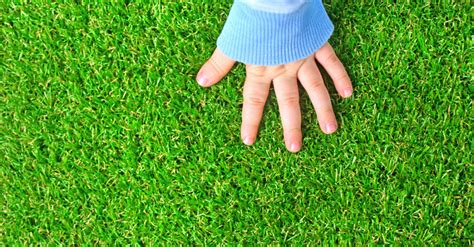 Effortlessly Maintain Your Artificial Grass in Texas: Nine Expert Tips