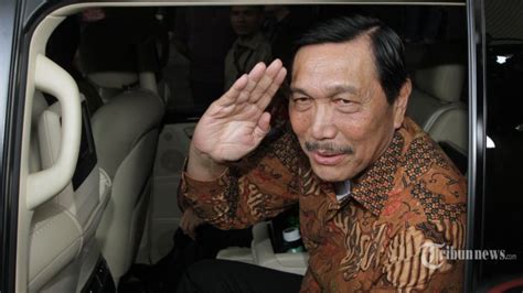 Luhut Ajak Tni Ad Cari Kuburan Massal Peristiwa Tribunnews