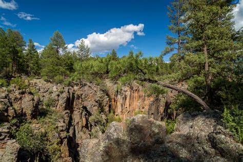 Sycamore Canyon Rim Trail in Arizona. Stock Image - Image of nature, trees: 71819199