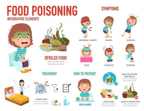 Infographie Sur L Intoxication Alimentaire Vecteur Premium