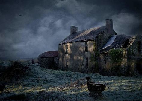 A Forgotten Home Photograph By Shasshasha Fine Art America