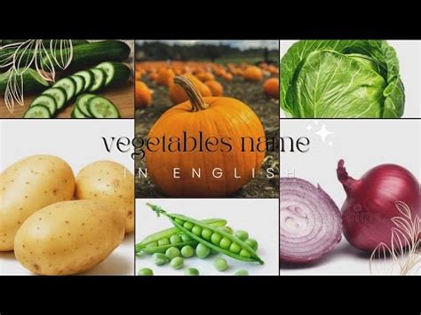 Vegetables name in English|Toddler learning video|Preschoolers| Kids learning. - YouTube