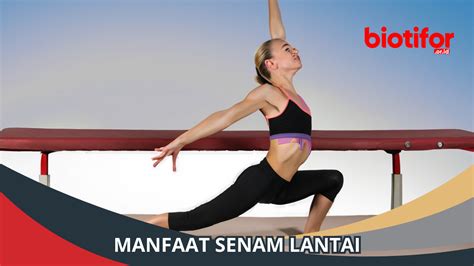 Manfaat Senam Lantai Kesehatan Yang Menyenangkan Biotifor