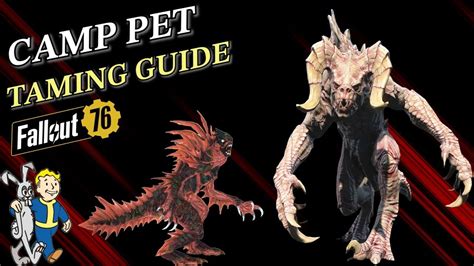 Fallout 76 2024 Pet Taming Guide Youtube