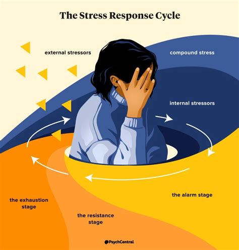 Stress Level Calculator For Identifying Potential Stressors And