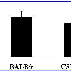 Latent Viral Load In Spleens Of Infected Mice Mhv Dna Was Detected