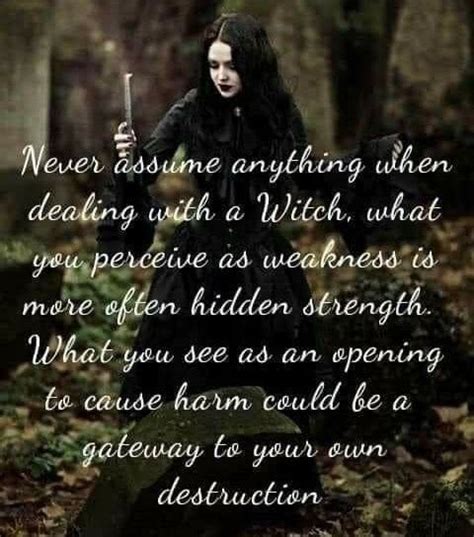 Pin By Jaydavis On Quick Saves In Witch Quotes Wiccan Spell