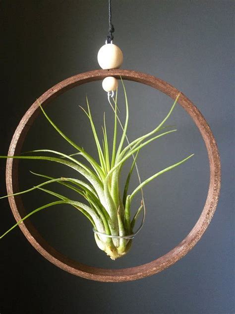 Indoor Macrame Plant Hanger Diy Idea Collections Artofit