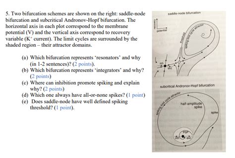 5 Two Bifurcation Schemes Are Shown On The Right