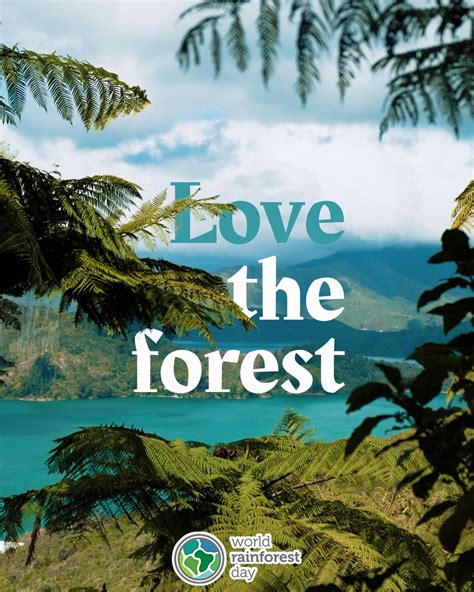 Solutions For The Planet On Twitter Happy Worldrainforestday We