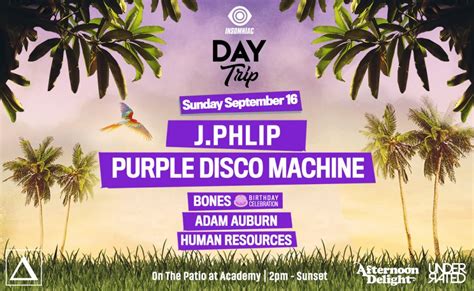 J Phlip And Purple Disco Machine Insomniac