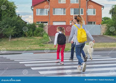 Group Of Children Crossing Road On Zebra Crossing Stock Photo Image