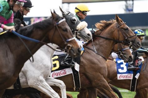 2024 Kentucky Derby Prep Races | KentuckyDerby.com