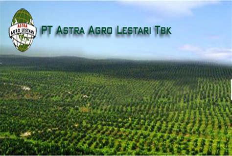 Pt Astra Agro Lestari Tbk Anak Perusahaan Astra Di Bidang Perkebunan