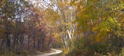 Richard J Dorer Memorial Hardwood State Forest Minnesota Dnr State