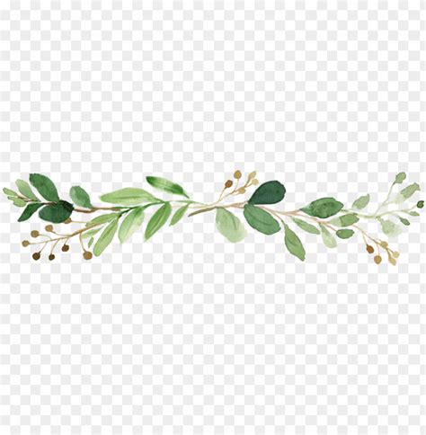 Free download | HD PNG leaf frame boho leaf PNG transparent with Clear ...