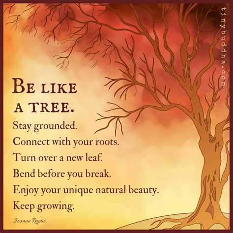 Quotes About Love Growing Like A Tree at Quotes