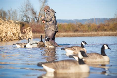 Img Dave Smith Decoys Flickr