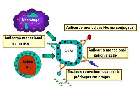 Imunologia De Tumores