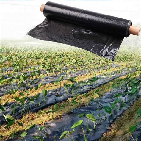 Perforated Plastic Mulch Film Black Silver Color For Agricultural