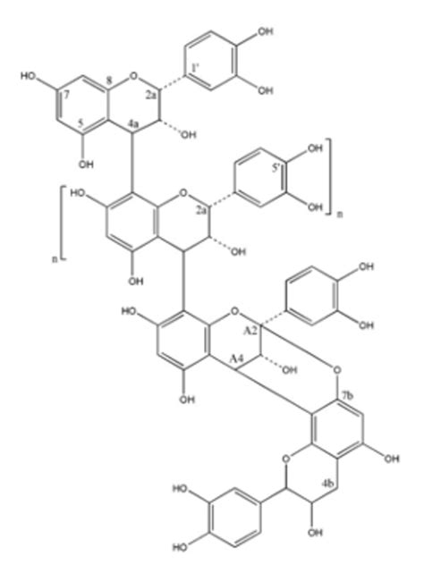 Cranberry proanthocyanidins showing the presence of A-type linkages ...