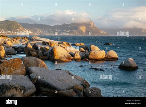 Boulders Beach Cape Town Western Cape South Africa Africa Stock