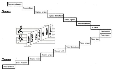 D Couvrir La Voix La Classification Des Voix