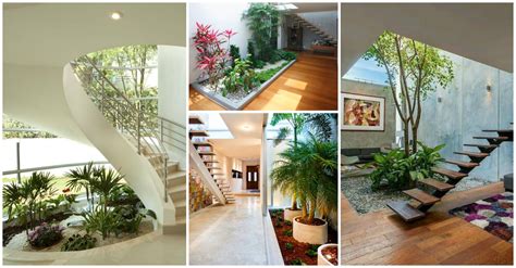 10 Dreamy Interior Gardens to Green Your Home - Top Dreamer