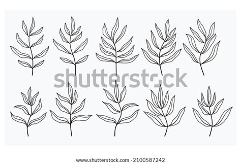 Vector Doodle Leaves Set Vector Illustration Stock Vector Royalty Free