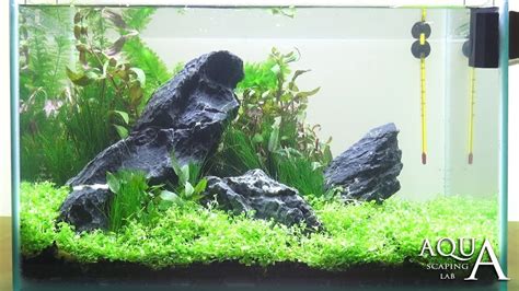 Iwagumi Aquarium Blog Aquascape