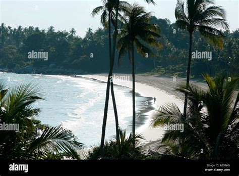 Beach, Angsana beach resort, Bintan Island, Indonesia Stock Photo - Alamy