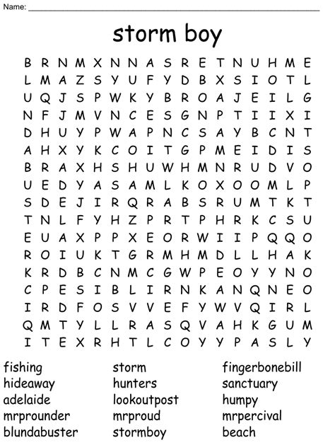 Storm Boy Word Search WordMint