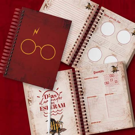 Planner Harry Potter Fazendo A Nossa Festa