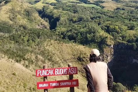 Eksplorasi Keindahan Alam Puncak Budug Asu Destinasi Pendakian Ramah