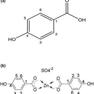 A Structure Of Phydroxybenzoic Acid And B Proposed Structure Of