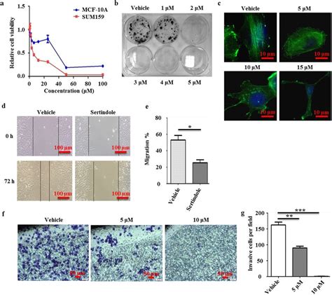 Sertindole Attenuates Proliferation And Migration Of Breast Cancer Download Scientific Diagram