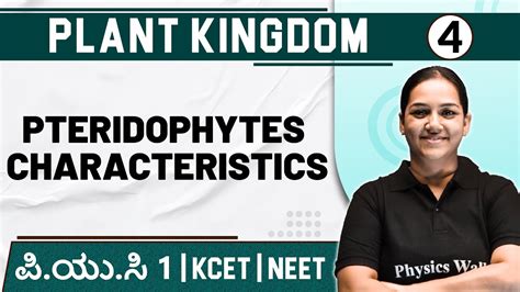 PLANT KINGDOM 04 Pteridophytes Characteristics Botany PUC 1