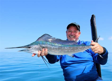 Baby Blue Marlin Fish