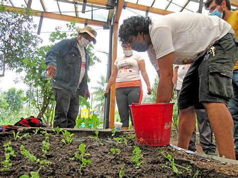 Resalta Sedema Beneficios De Huertos Urbanos Para Construir Comunidad Y