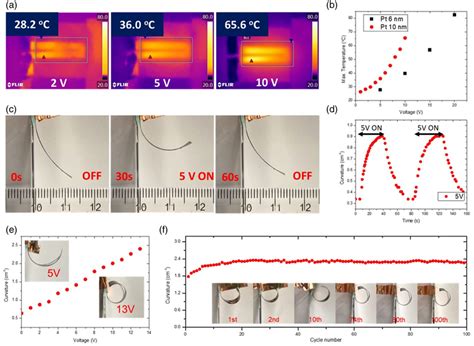 Performance Characterization Of Tocn 2d Ptte2 Pi Actuators A Download Scientific Diagram