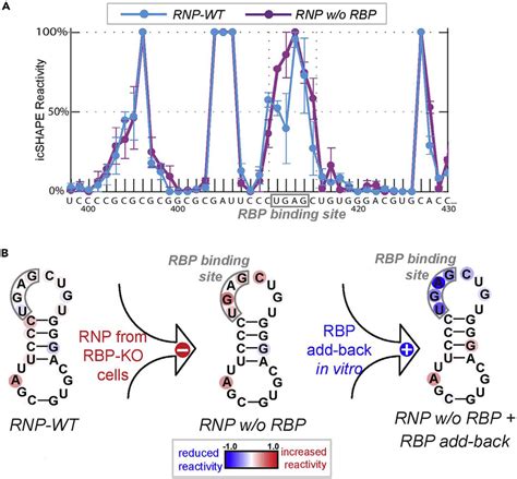 Pinpoint The Structural Footprint Of A Given Rbp By Comparing The