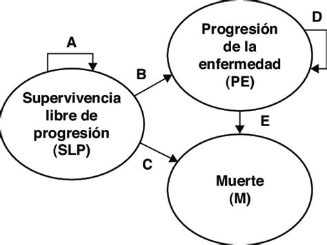 Modelo De Markov De La Leucemia Linf Tica Cr Nica Con Tres Estados