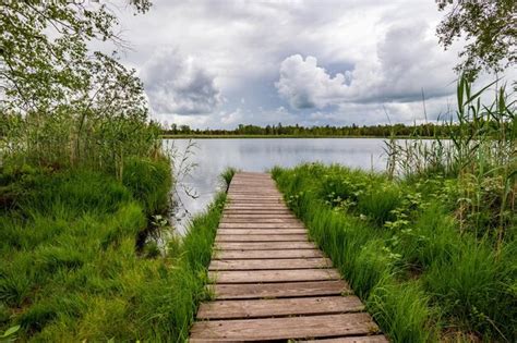 Premium Photo A Wooden Jetty In Green Reeds On The Lake Shore And